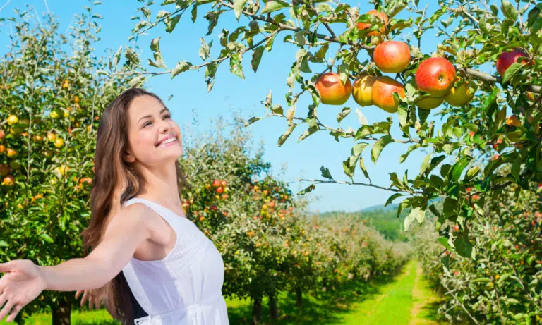 Huerta o jardin Descubre las diferencias que nadie te explico antes