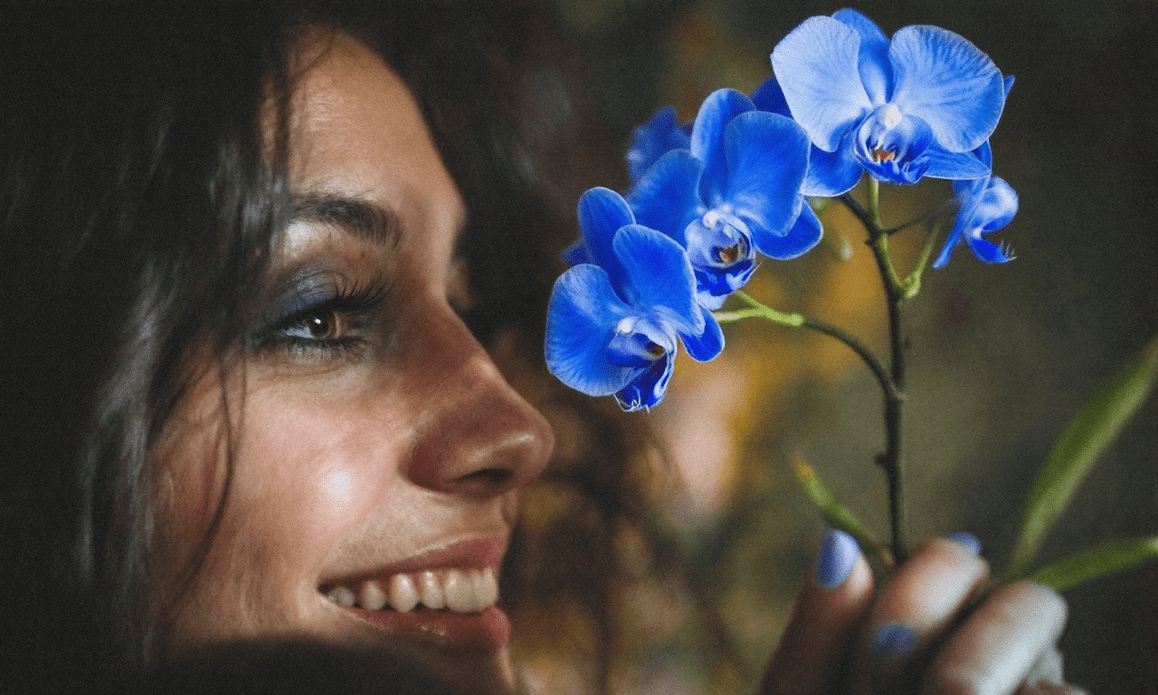 Cómo las orquídeas pueden transformar tu hogar y purificar el aire de manera sorprendente