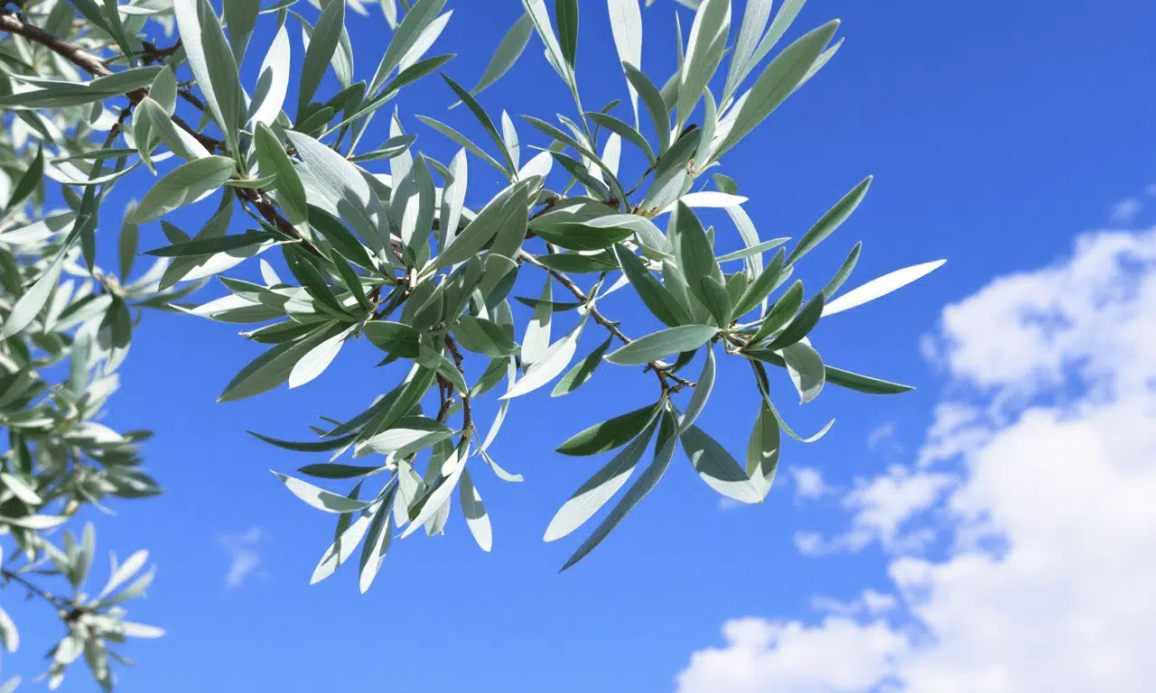 ¿Sabías que tu árbol frutal favorito podría estar atrayendo serpientes? ¡Descubre el porqué!