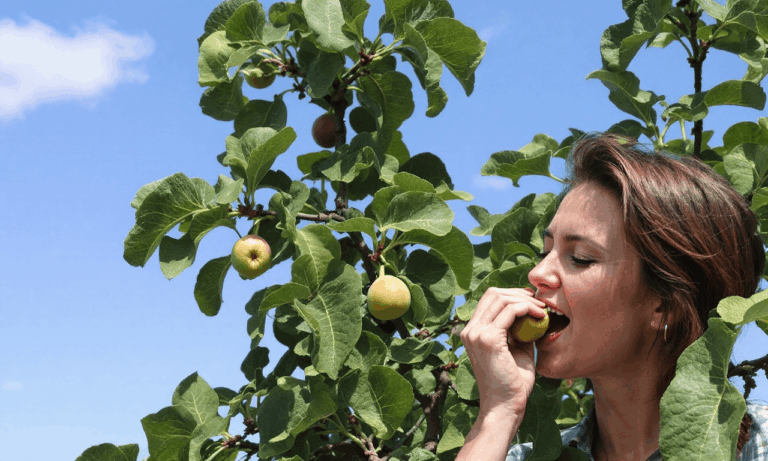 ¿Tienes estos 3 árboles frutales en tu jardín? Podrían ser tu peor pesadilla